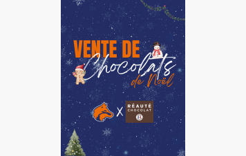 Vente de chocolats de Noël